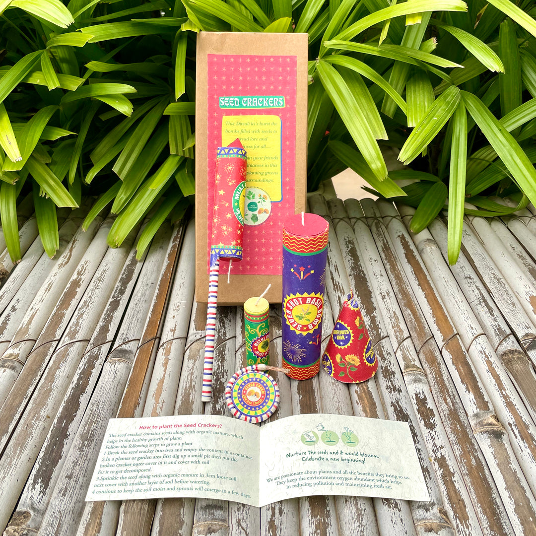 Sow and Grow Plantable Seed Crackers: Set of 5 with 5 varieties of seeds