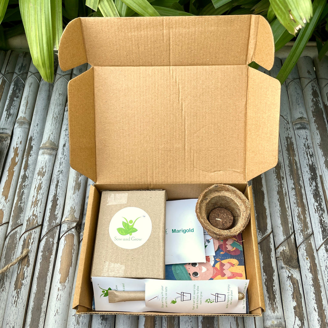 Sow and Grow Eco-friendly Assorted Hamper