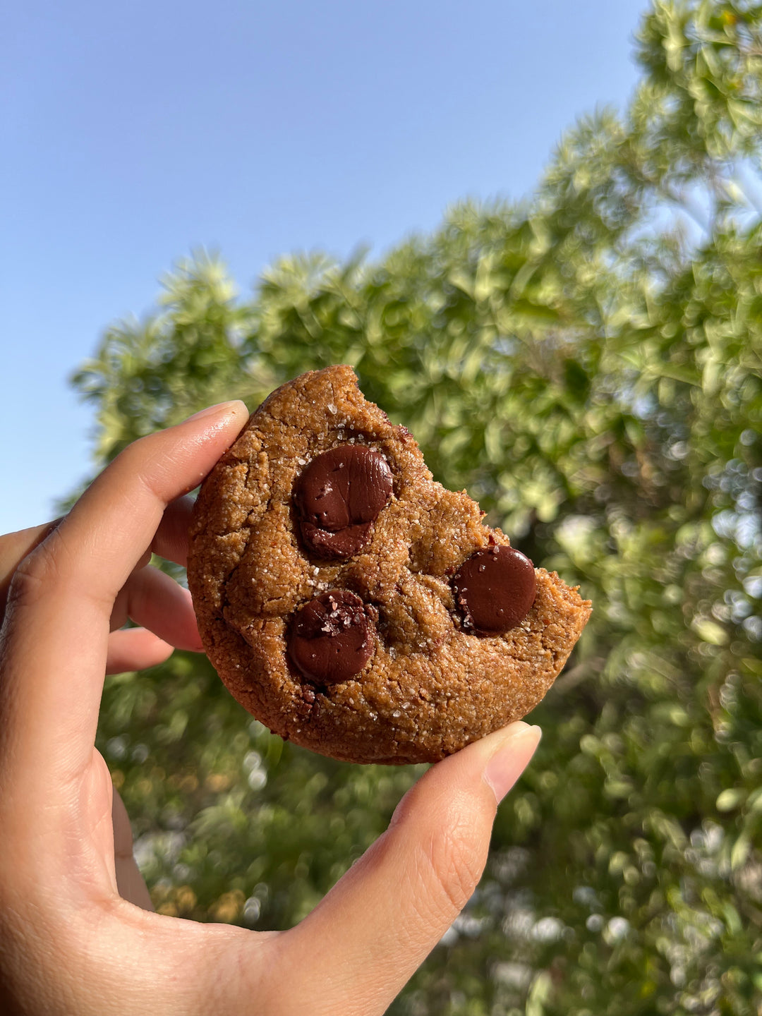 KS Supertreats Almond Flour Cookie | Pack of 6 (40 gm each)