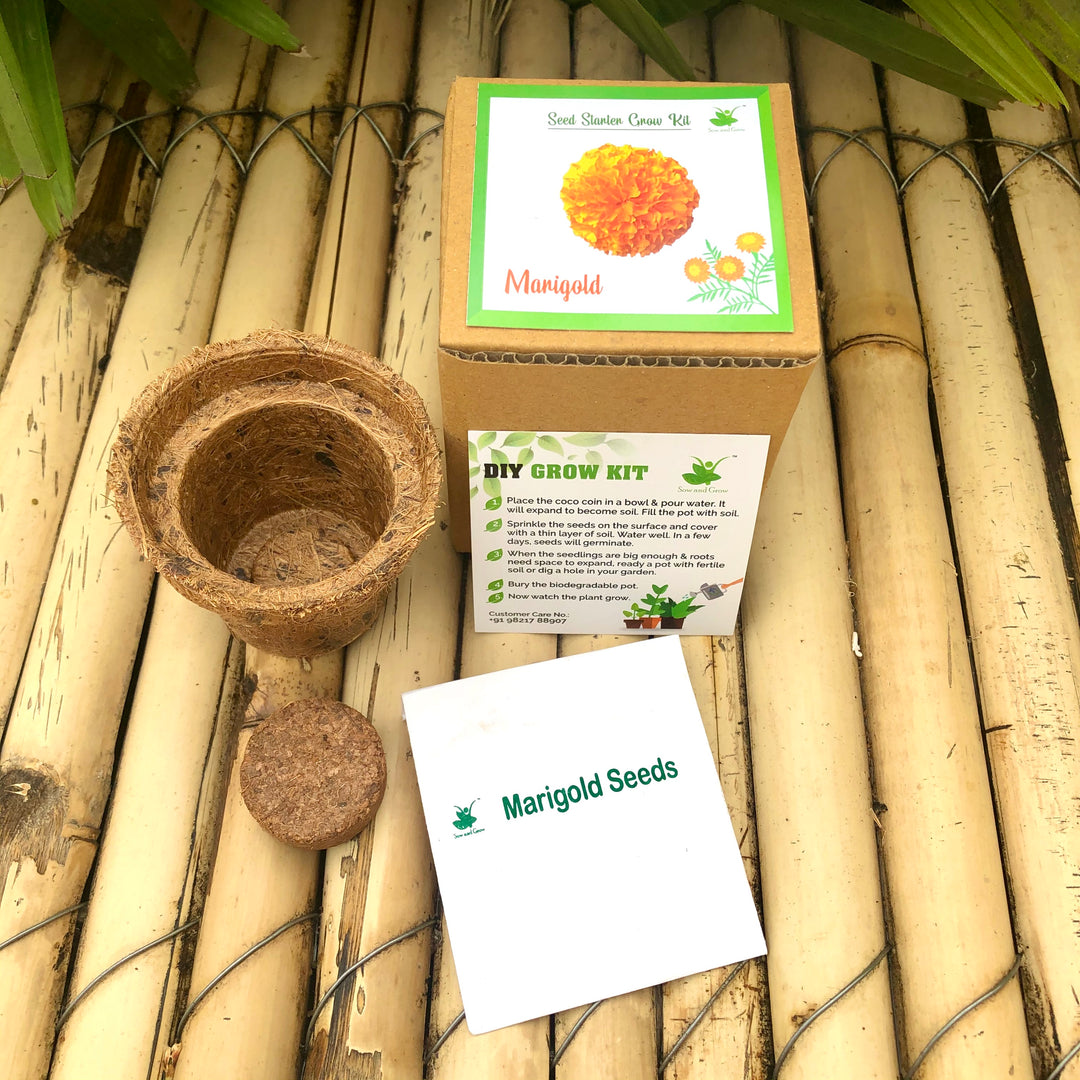 Sow and Grow The Metal Trunk Hamper 1