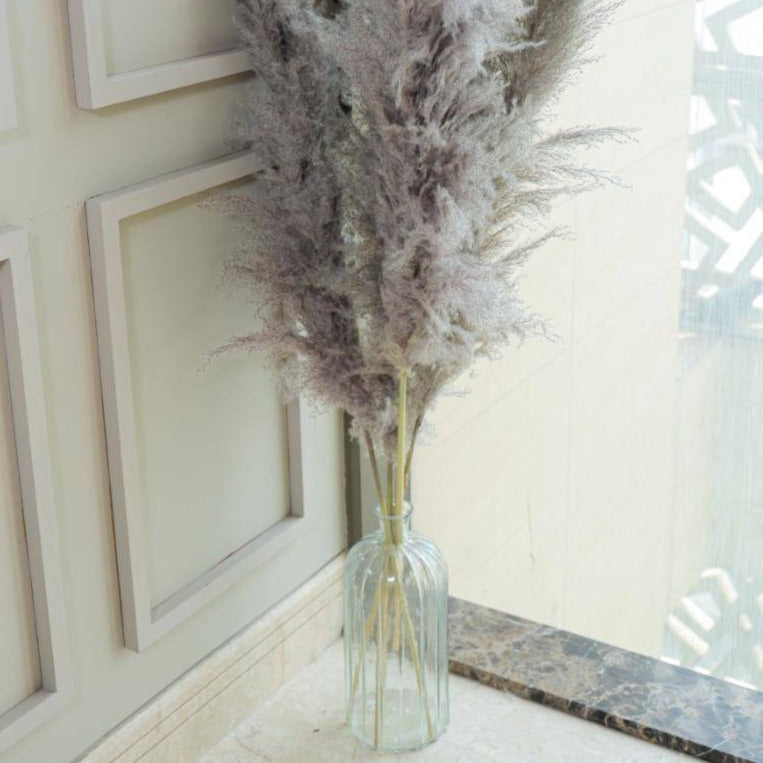 Imported Charcoal Pampas XL Set of 5 Stems for Home Decor | Arte Casa