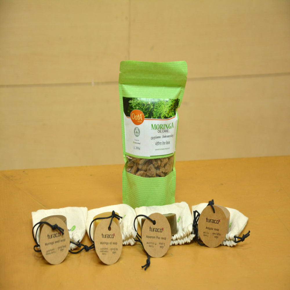 OOTA-Moringa Seed soap, Moringa oil soap, Avarampoo soap, Arapu soap and Moringa oil cake