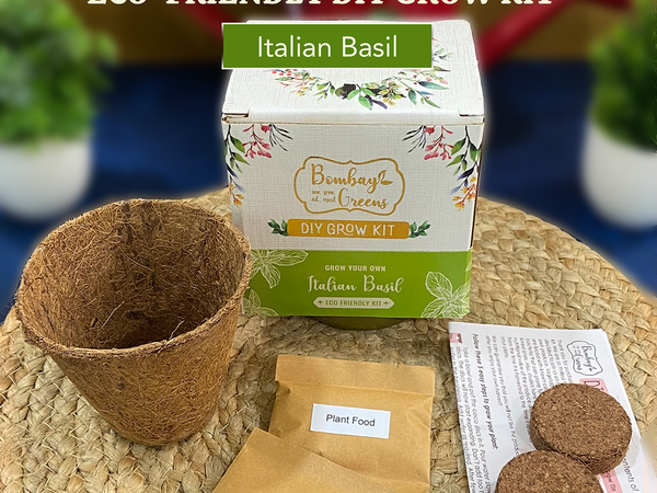Bombay Greens Eco-Friendly Grow Kit - Italian Basil