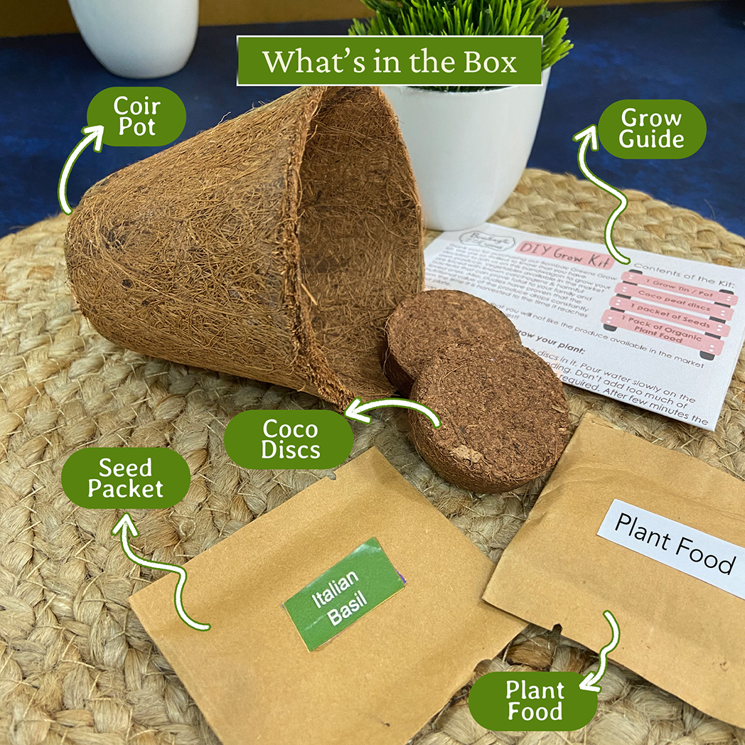 Bombay Greens Eco-Friendly Grow Kit - Italian Basil