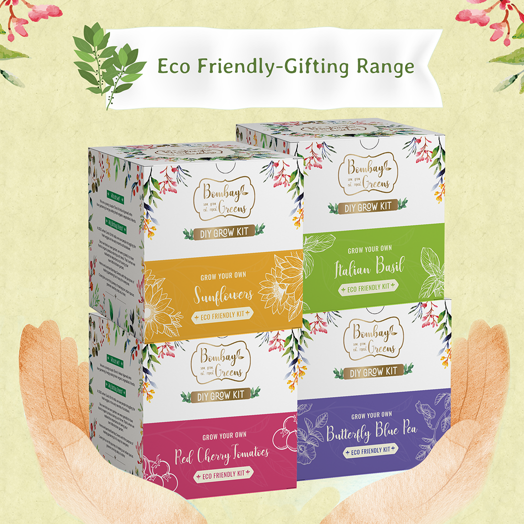 Bombay Greens Eco-Friendly Grow Kit - Italian Basil