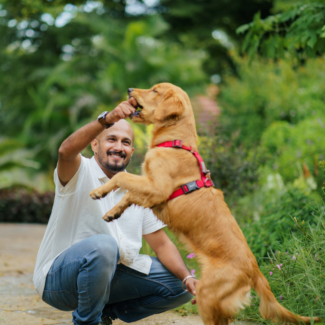 Islands Of Loom Ivory Cloud Organic Muslin Cotton Men&