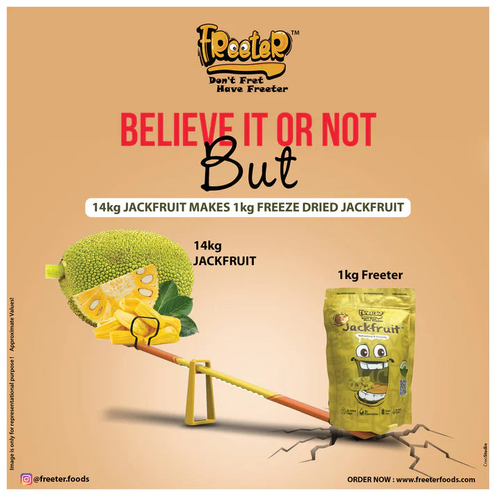 Freeter Jazzy Jackfruit | 100% Natural Freeze Dried | No Added Sugar | No Preservatives - 20 Grams