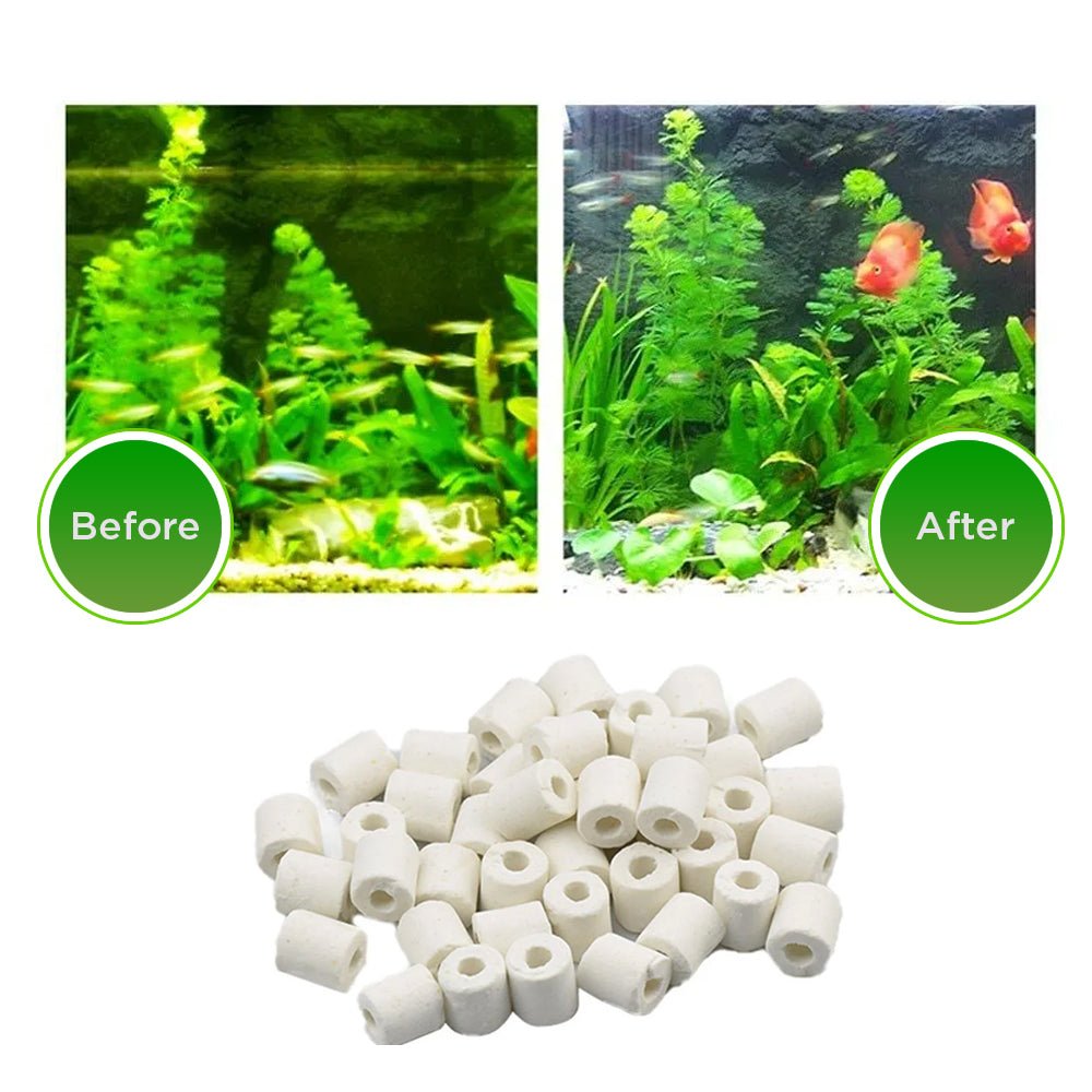 KHEONI Probiotics Ceramic Rings - Suspire