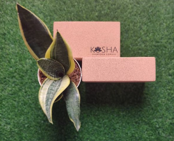 Kosha Yoga Classic Cork Yoga Block/Brick