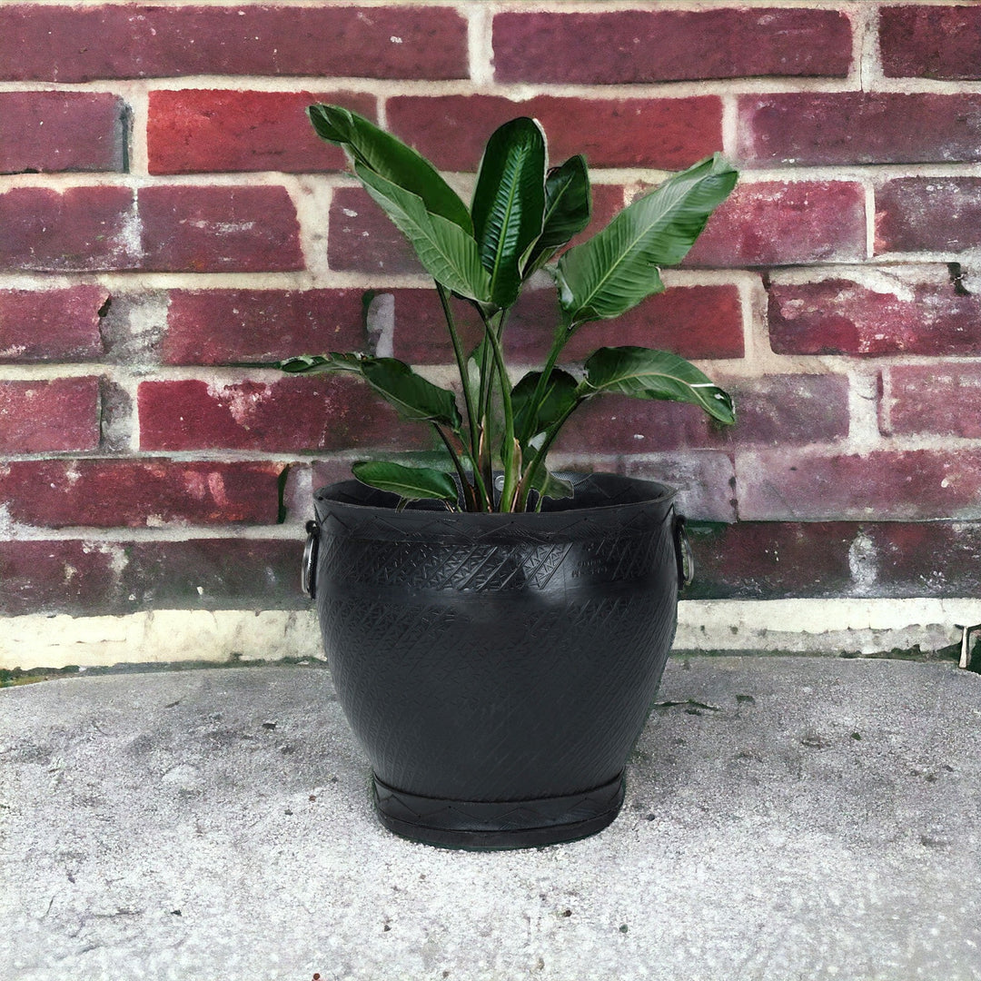 big plant pots india Buy Large pots Online
