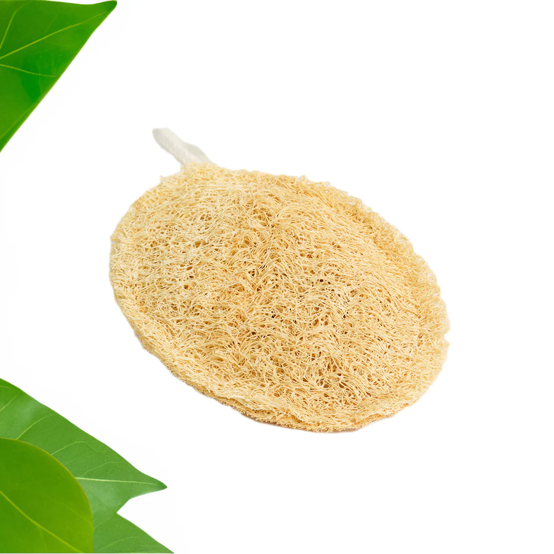 Natural Vegetable Loofah (Pack of 3)