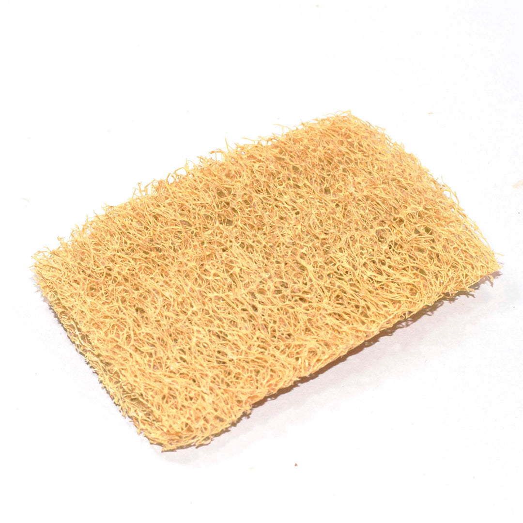 Geosmin Natural body & kitchen loofah scrubber - pack of 6