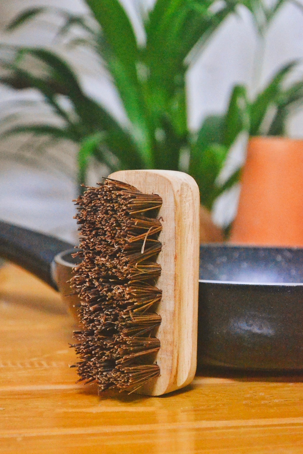 Almitra Sustainables Kitchen Hard Scrub Brush | Bassine Palm Fibre