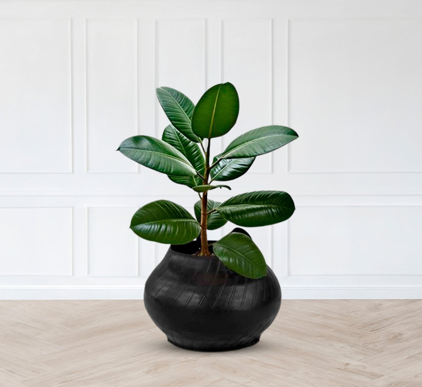 Matka planter