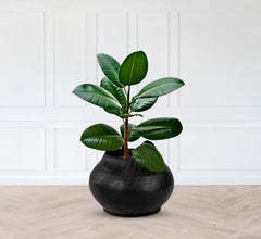 De'Dzines Matka planter