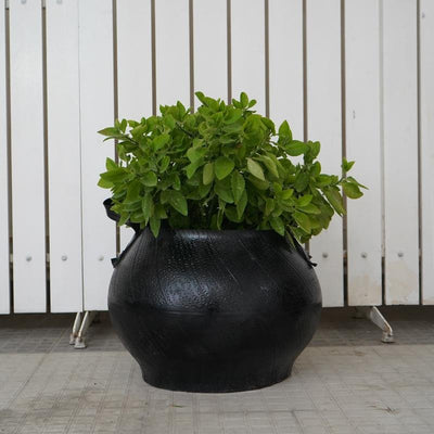 Matka planter