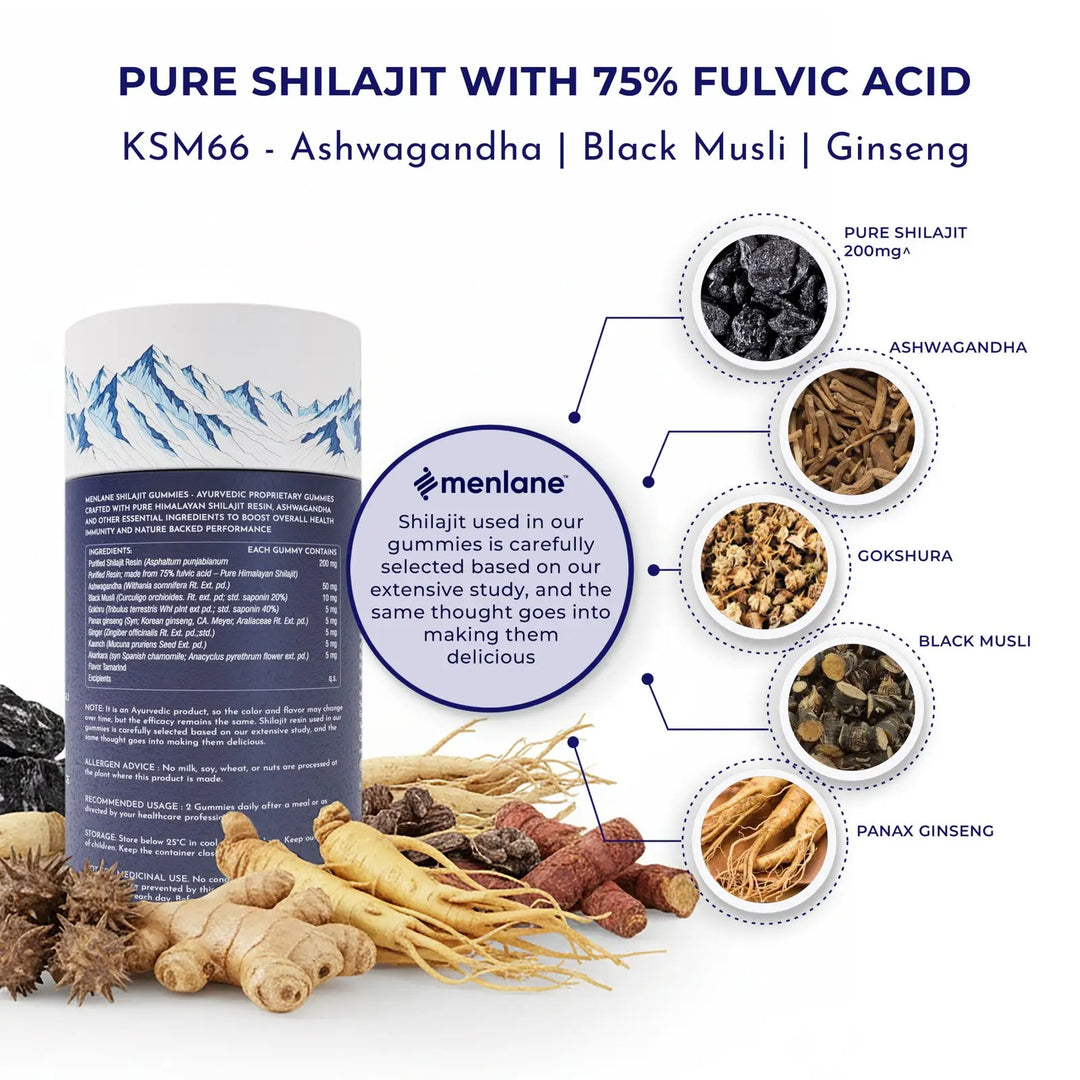 Menlane Shilajit Gummies-Natural Support for Energy, Stamina, Strength & Daily Vitality