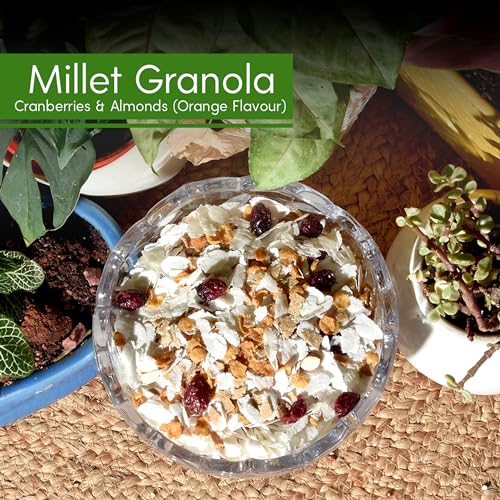 GUILTCHIP Millet Granola With Cranberries & Almonds - 190 gm