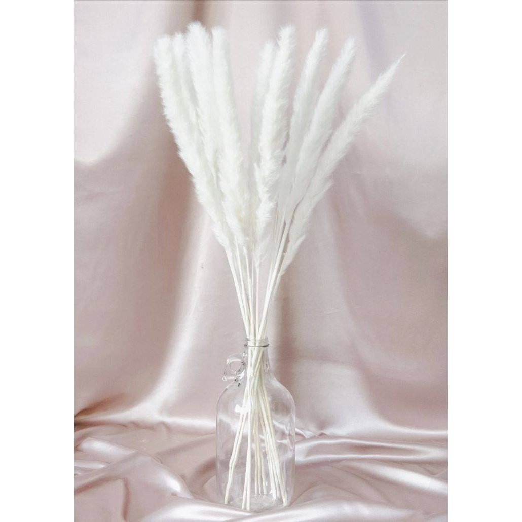 Mini White Pampas Set of 10 Sticks | Non-Shedding Dried Pampas for Vase Filler | Arte Casa