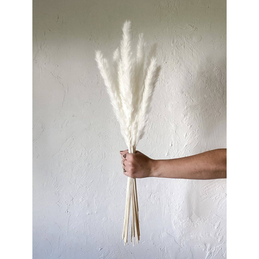 Mini White Pampas Set of 10 Sticks | Non-Shedding Dried Pampas for Vase Filler | Arte Casa