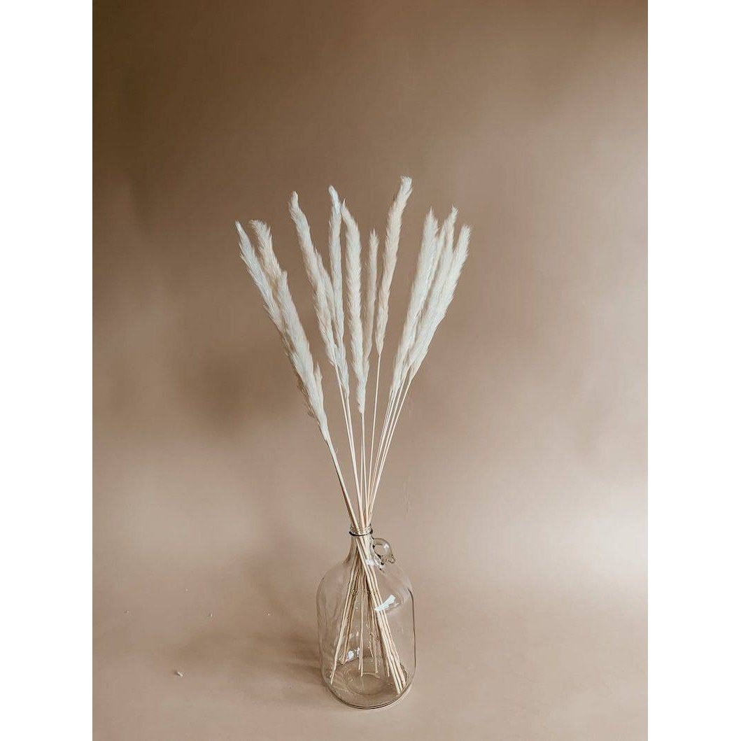 Mini White Pampas Set of 10 Sticks | Non-Shedding Dried Pampas for Vase Filler | Arte Casa