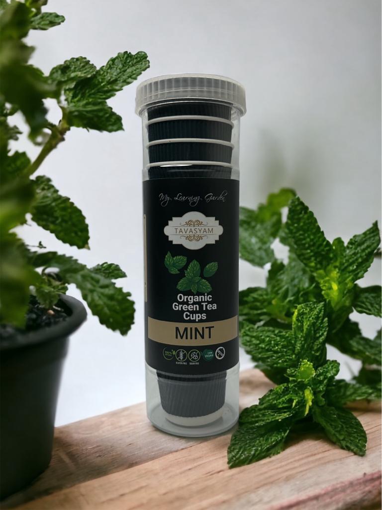 TAVASYAM Ready to Sip Tulsi Flavour Green Tea Cup - Vegan, Gluten Free & Sugar Free - Pre-Filled Tea Cups 200 ml | Tea Cups Set of 12
