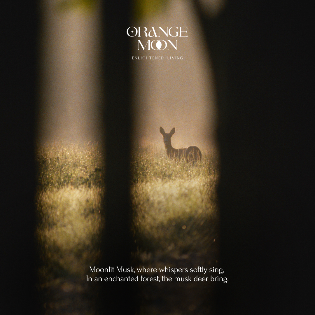 Moonlit Musk - Pure Soy Candle (Musk)