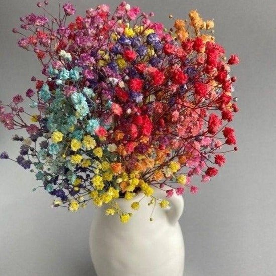 Multicolor Baby Breath Dried Flowers