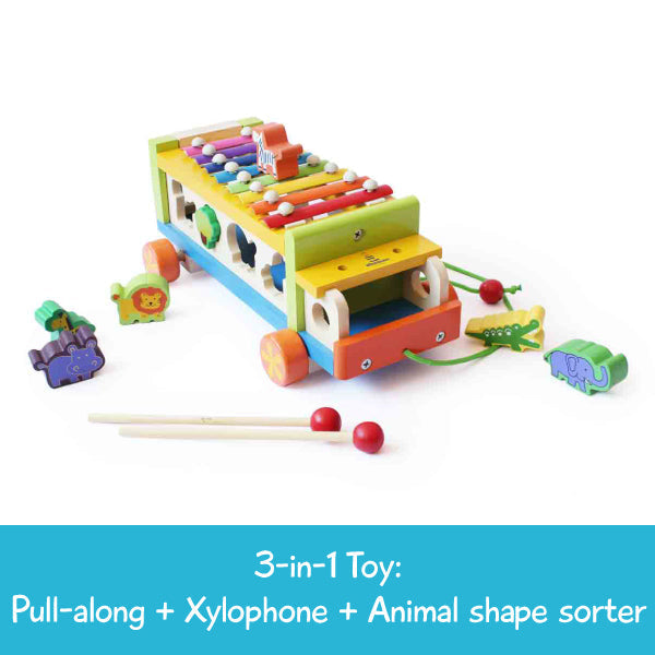 Shumee Musical Animal Activity Truck