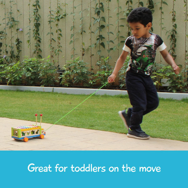 Shumee Musical Animal Activity Truck