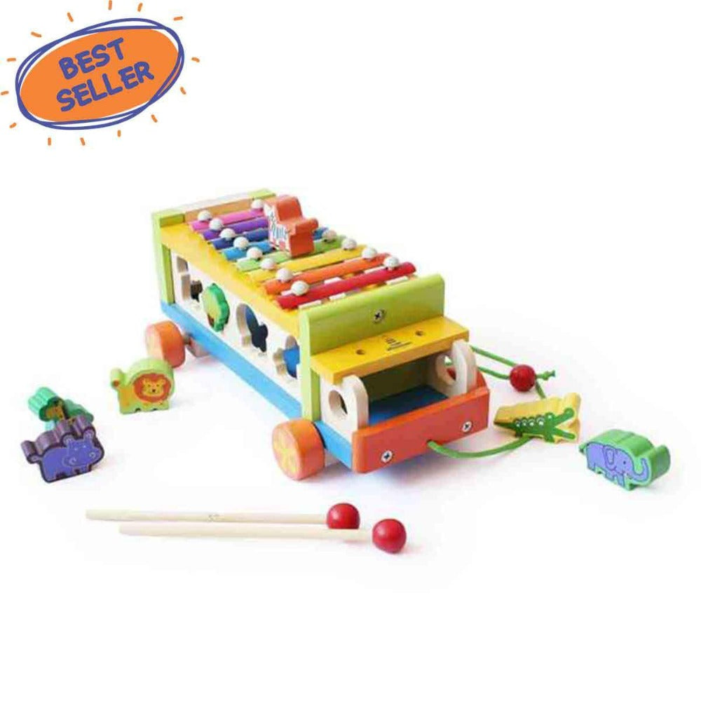 Shumee Musical Animal Activity Truck