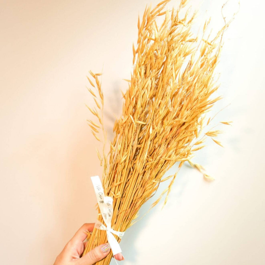 Natural Oats Dried Flower Bunch | Elegant Dried Floral Decor for Vase Styling | Arte Casa