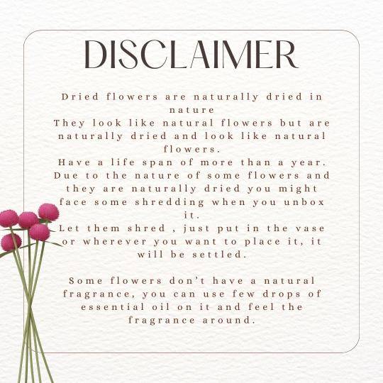 Natural Sponge Mushroom Dried Flower | Natural Home Décor