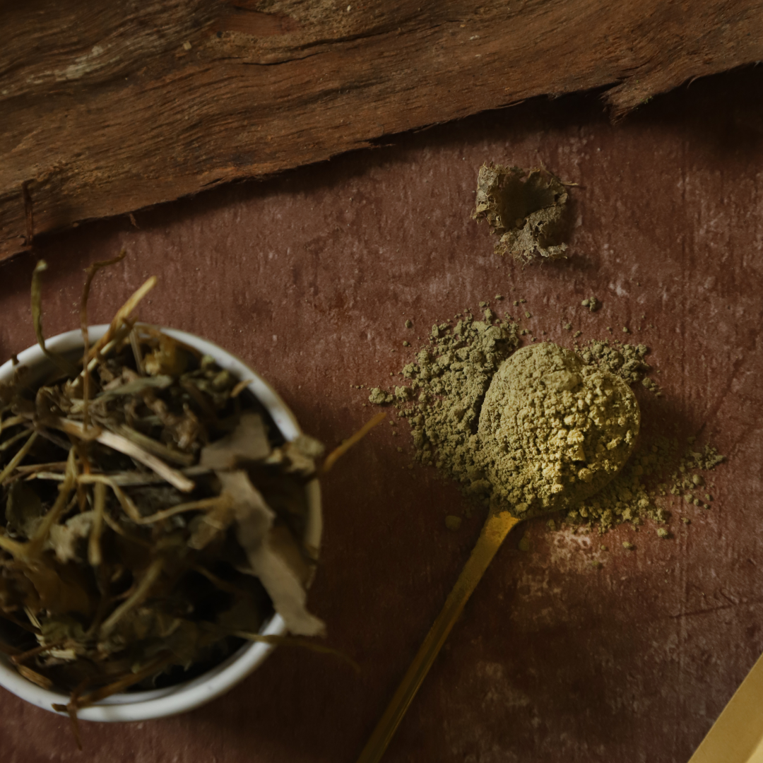 Vriksha Veda Vetiver Powder 50 gm | Skin care | Pack of 2