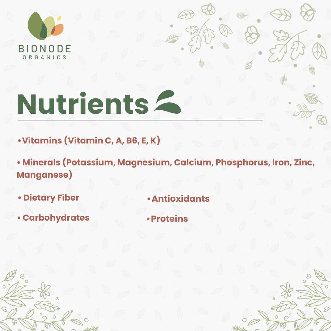 Bionode Organics Jackfruit Powder Gluten Free - Pack of 2