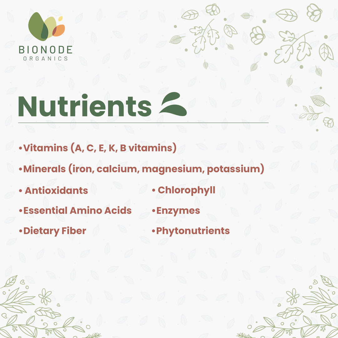 Bionode Organics Certified Organic Wheat Grass Powder - Pack of 2