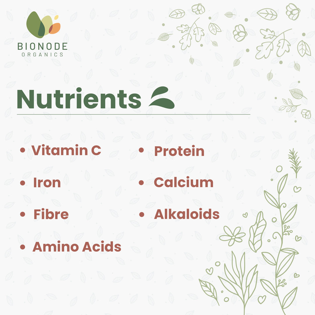 Bionode Organics Certified Ashwagandha Powder | Immune System Support | Muscle Strength and Recovery | Pack of 2