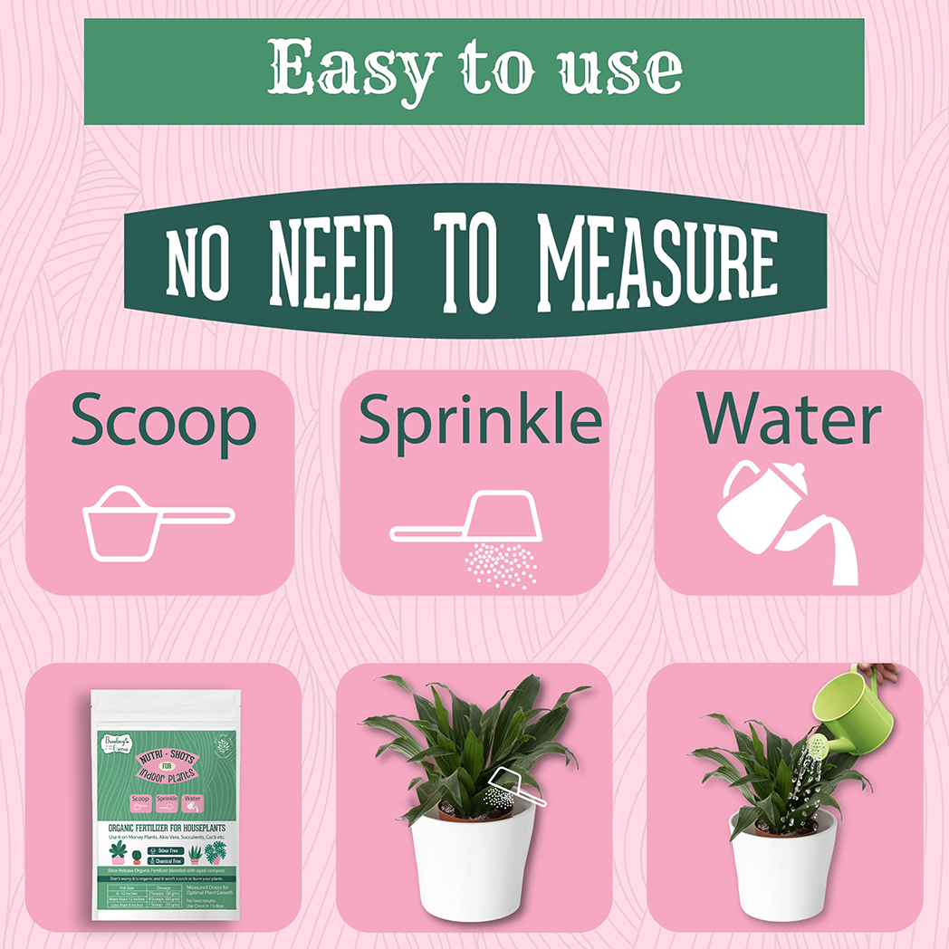 Bombay Greens Organic Fertilizer for Indoor Plants - 500 Grams