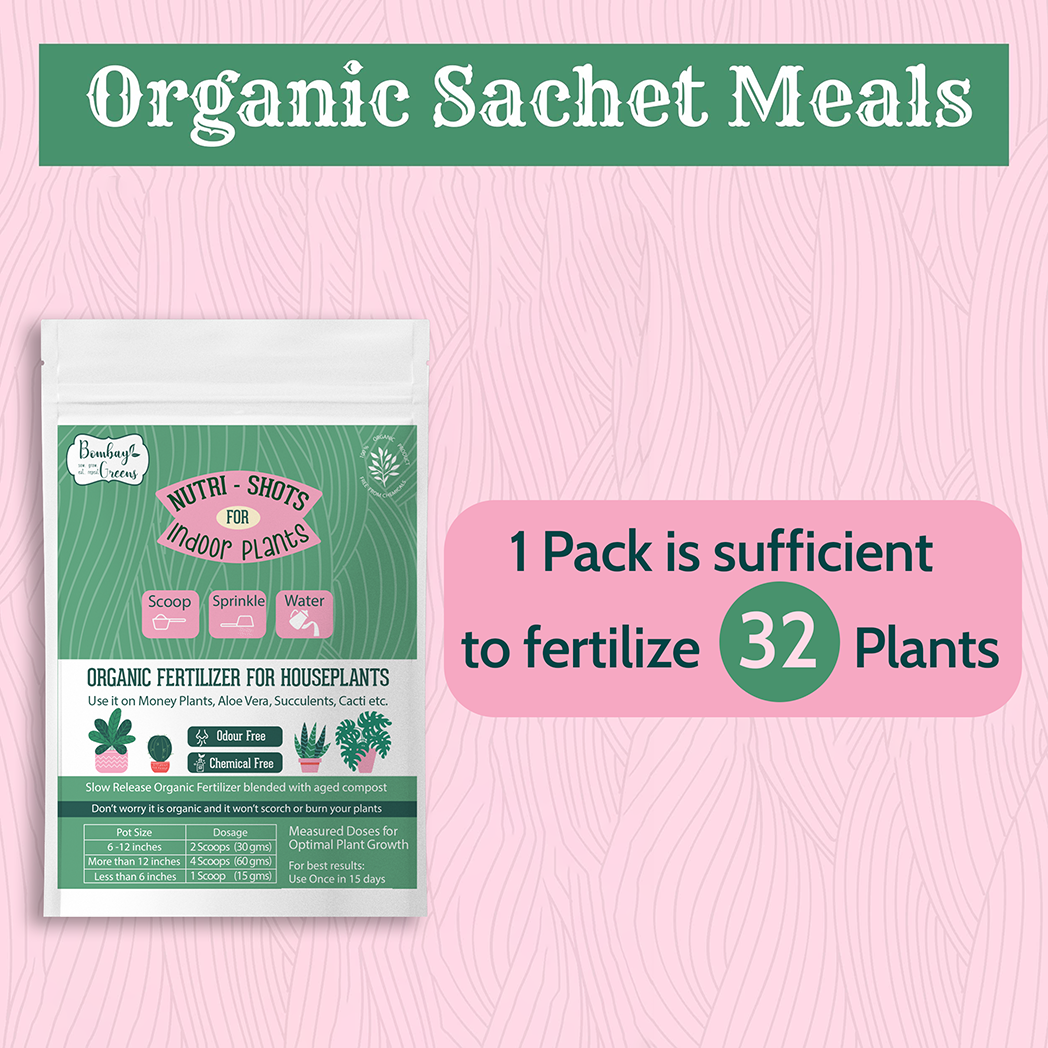 Bombay Greens Organic Fertilizer for Indoor Plants - 500 Grams