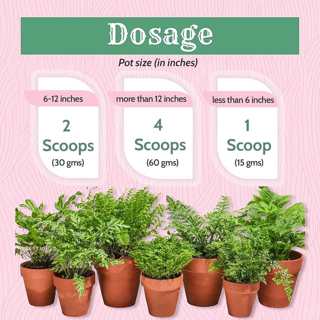 Bombay Greens Organic Fertilizer for Indoor Plants - 500 Grams