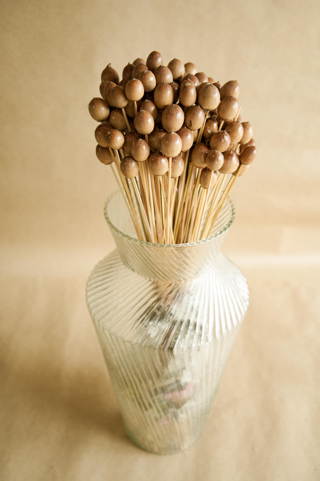 Oak Tree Seeds Dried Flowers Set of 25 | Natural Vase Filler Decor | Arte Casa
