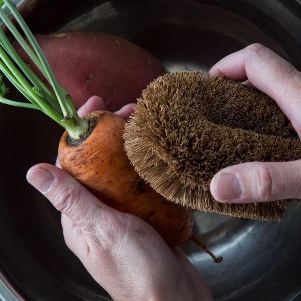 ONEarth The Hygiene-conscious&