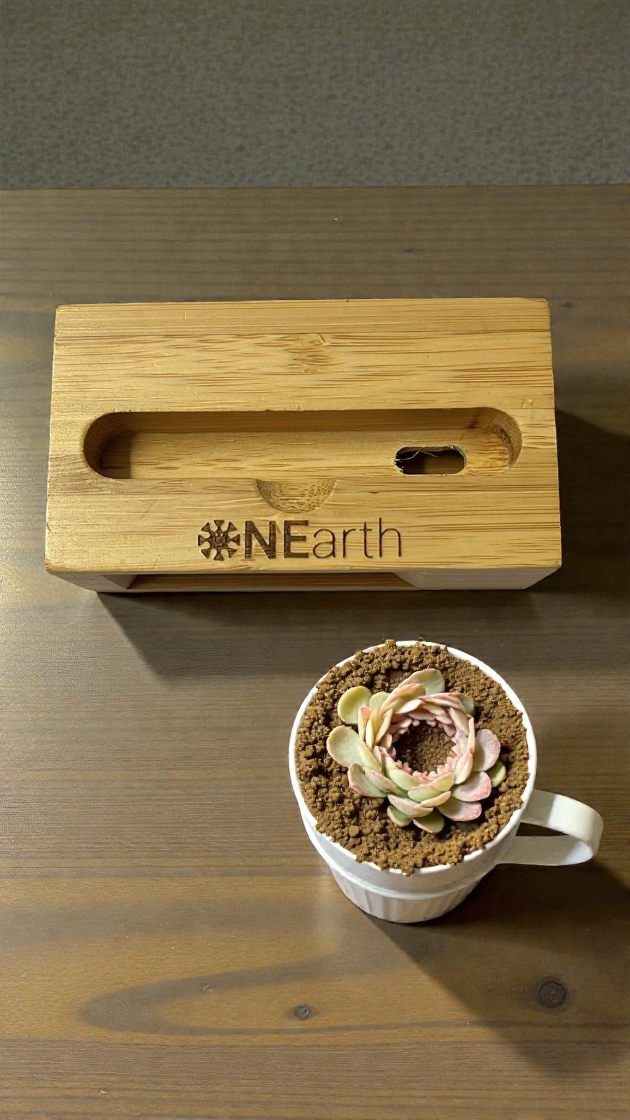 ONEarth Bamboo speaker