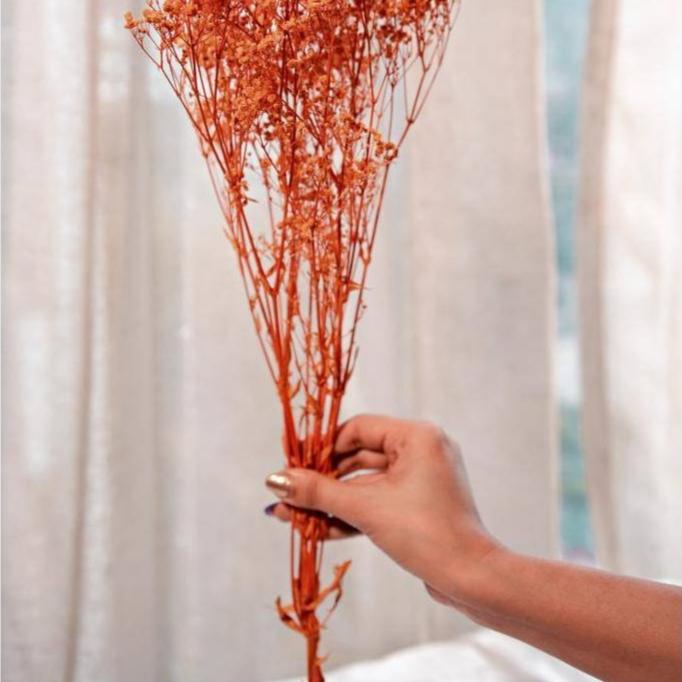 Artecasa Orange baby breaths | dried flowers