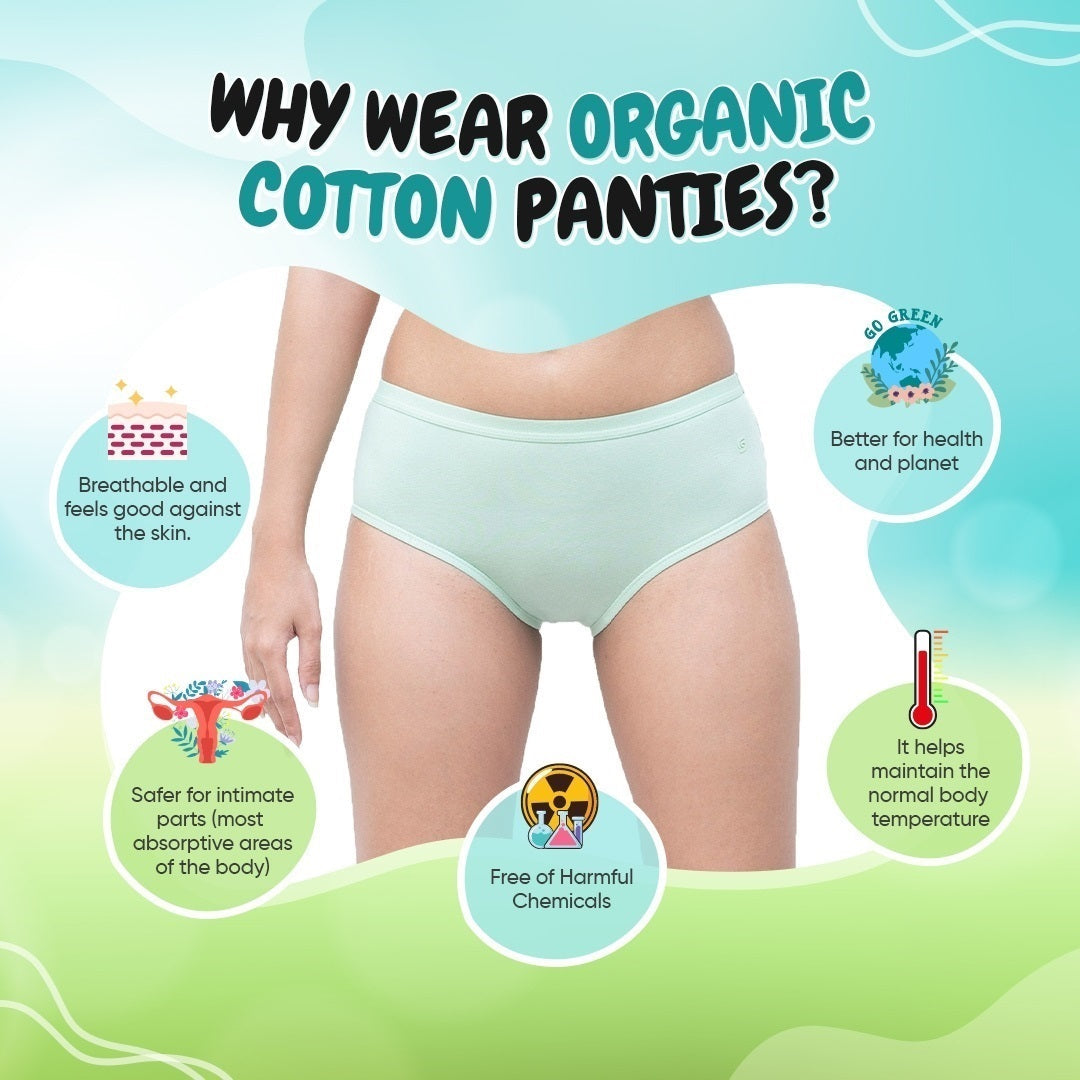 Organic everyday undies (hipster) (3pc)