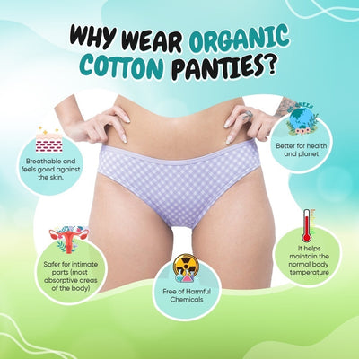 Organic everyday undies (bikini) (3pc)