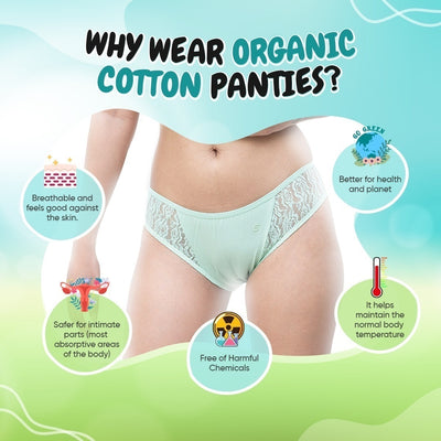Organic Everyday Undies Greenfig (Bikini) (3pc)