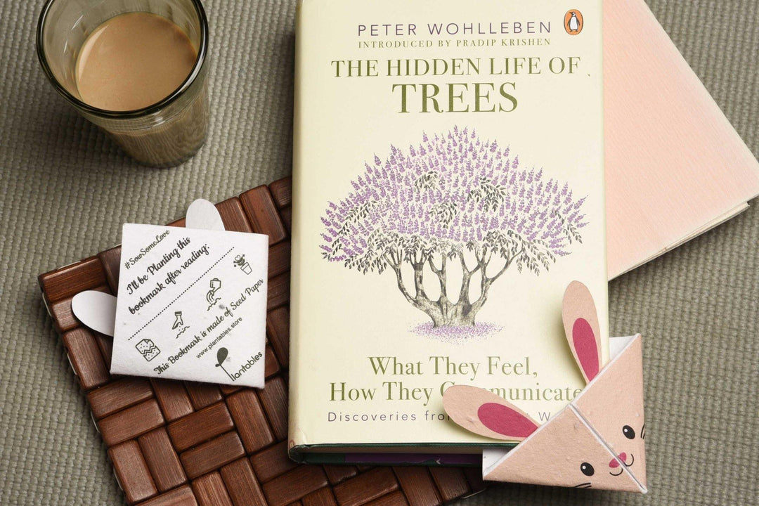 Plantables Origami Corner Bookmarks (Set of 7)