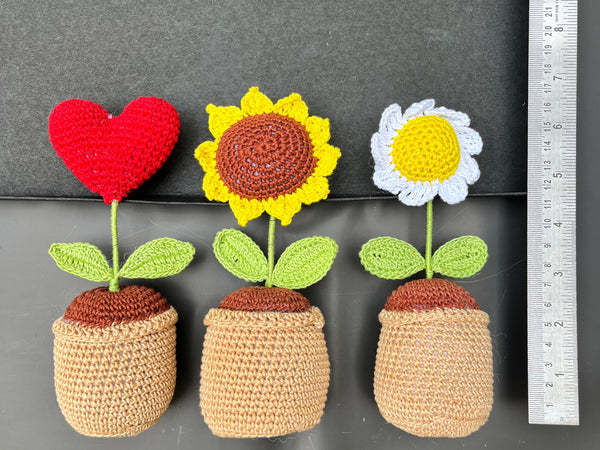 P Palettes 3 pots pack, table decor and gifting