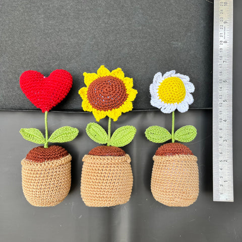 P Palettes 3 pots pack, table decor and gifting